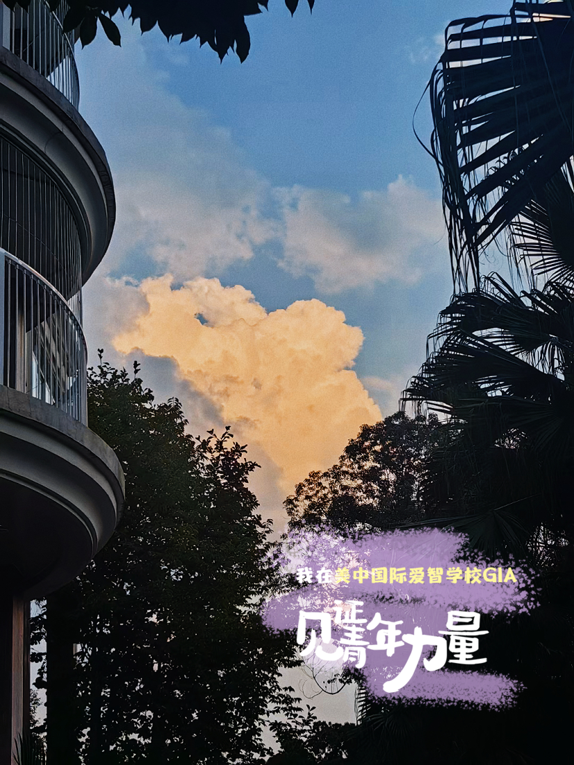 美中国际爱智学校GIA.png