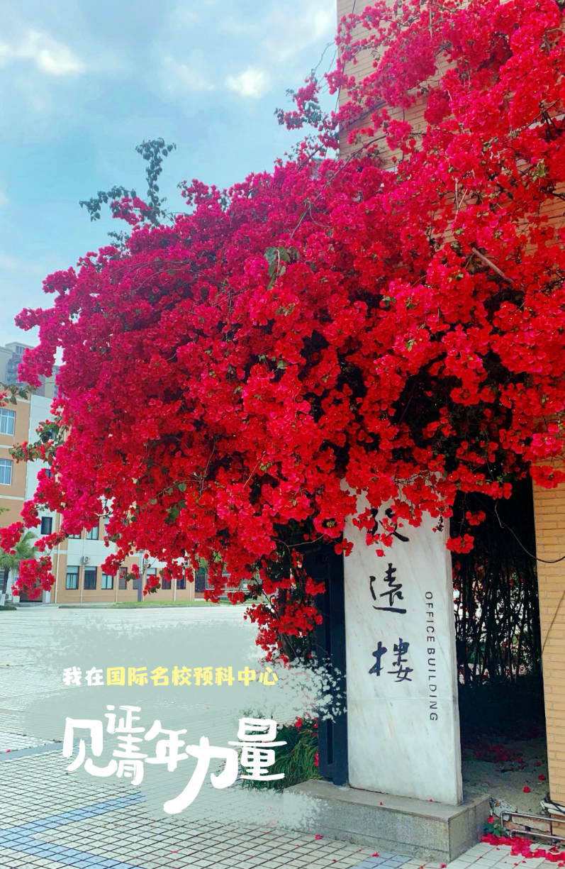 我在国际名校预科中心3(2).png